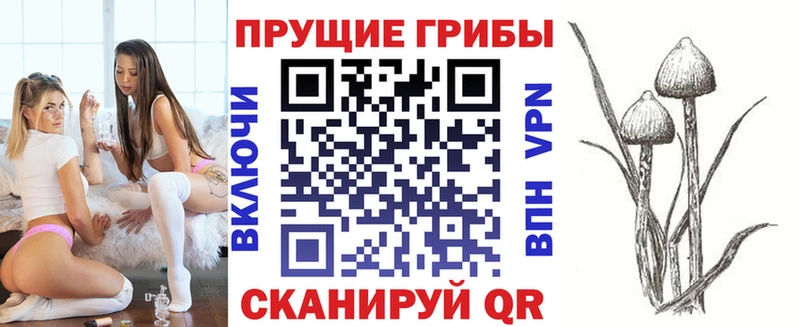 купить закладку  Соликамск  Псилоцибиновые грибы Magic Shrooms 