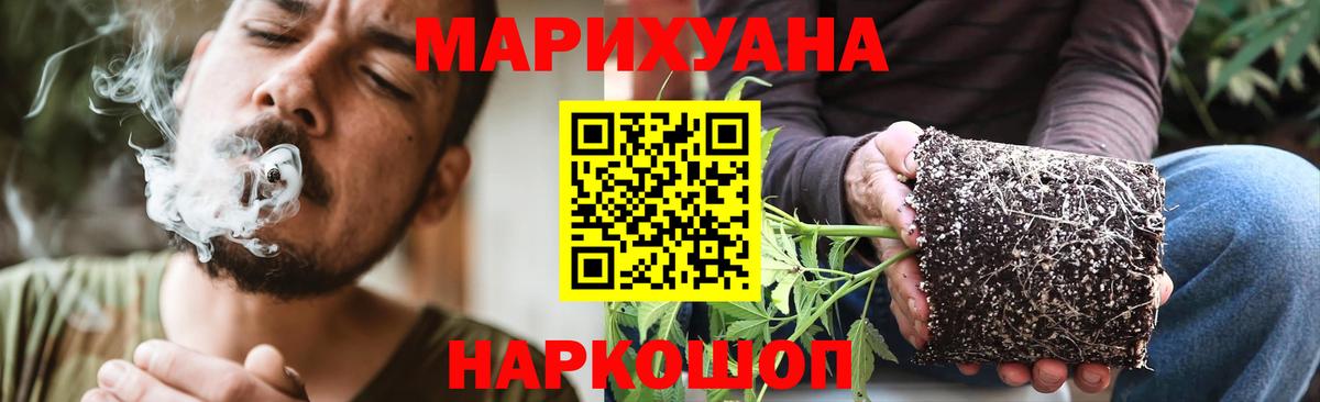 Бошки Шишки марихуана  Соликамск  МАРИХУАНА сатива  Канабис Amnesia  Марихуана конопля 